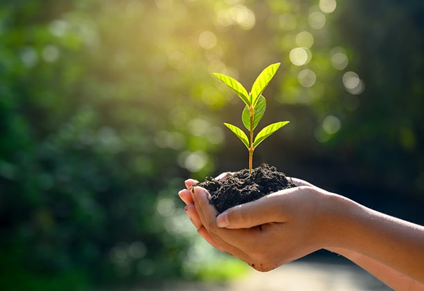 sustainability-min